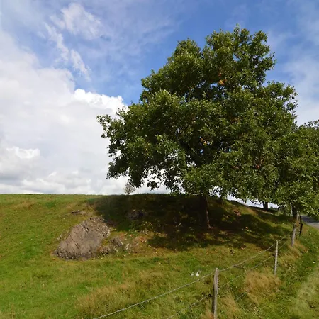 With View Casa vacanze Houffalize